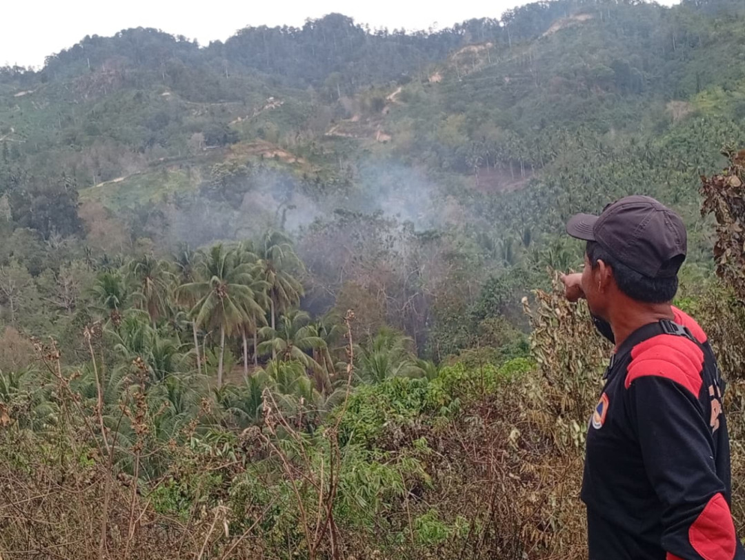 Karhutla di Parigi Moutong Hanguskan 2 Hektare Lahan