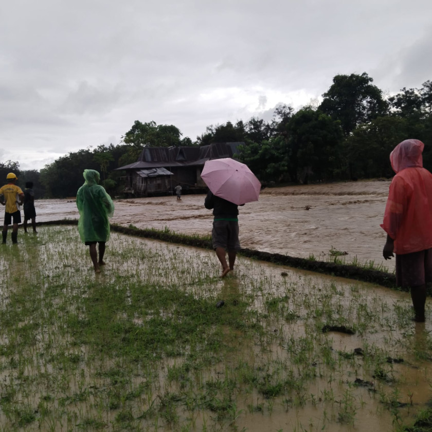 BNPB dan BPBD Intensifkan Penanganan Pascabanjir Bandang Nagekeo