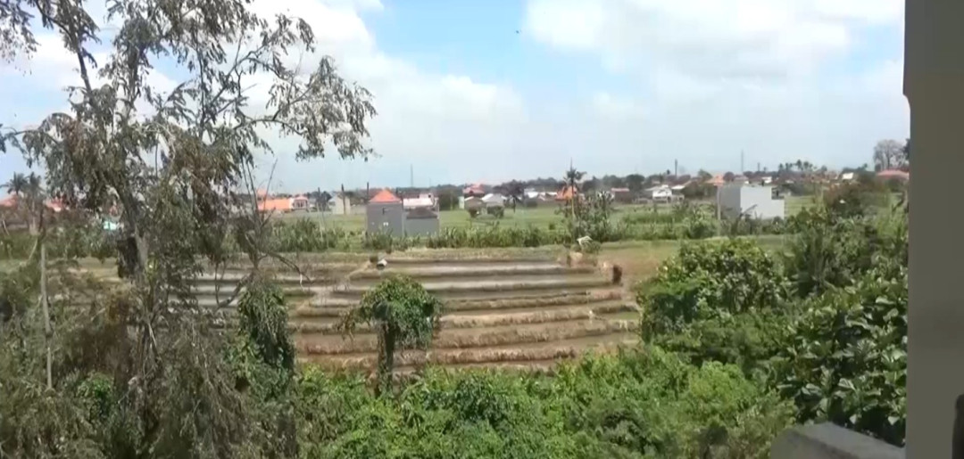 Pemprov Bali Kejar Target Pertanian Organik Menyeluruh pada 2027