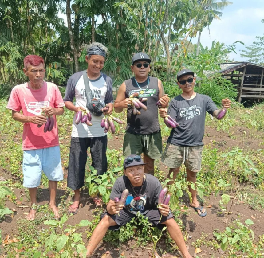 Dari Jalanan ke Sawah, Komunitas Petani Punk Gunungkidul Kini Dukung Program MBG