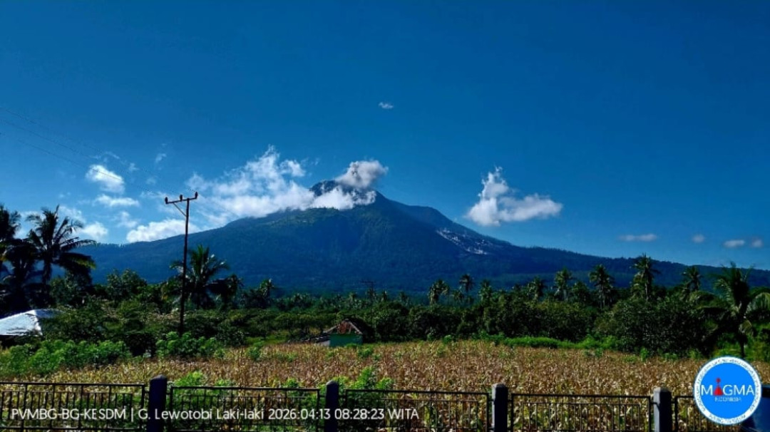 Gunung Lewotobi Laki-Laki Meletus Tiga Hari Beruntun