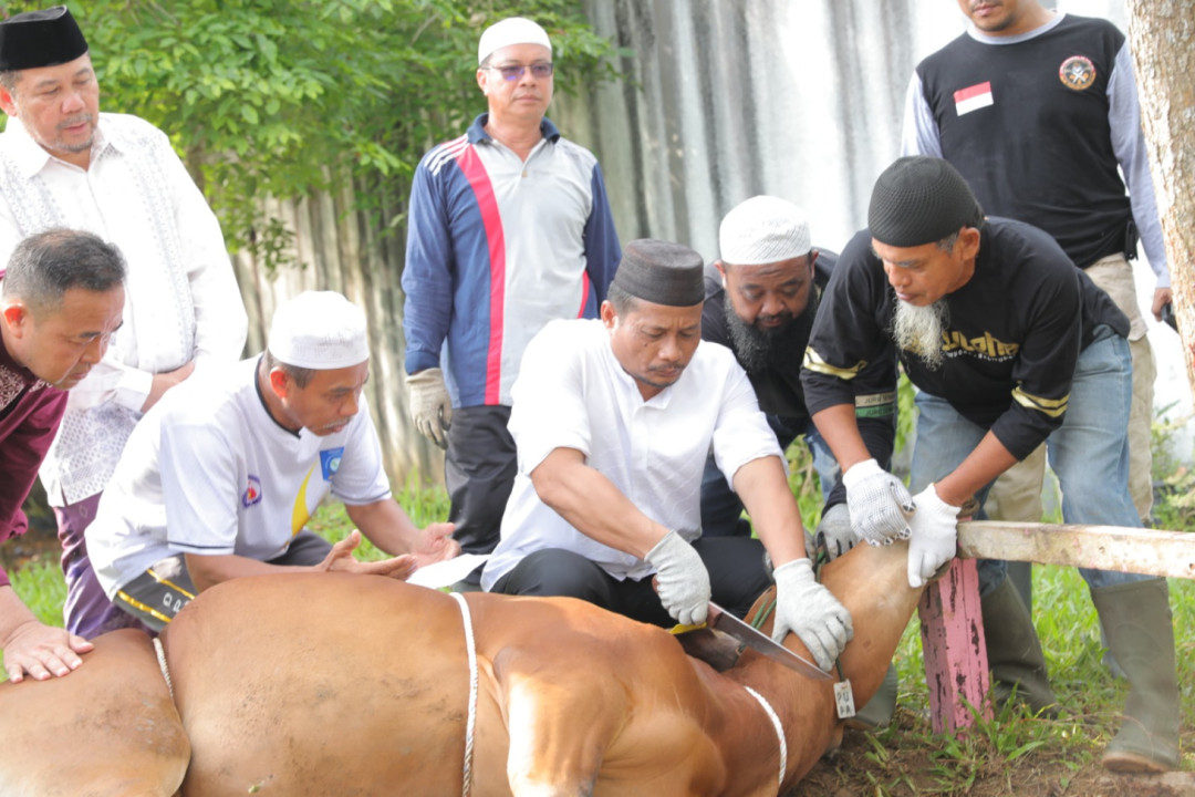 Pelatihan Juru Sembelih Halal Tingkatkan Kepercayaan Konsumen
