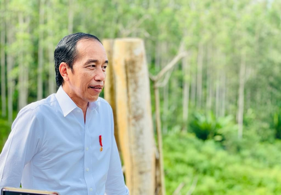 Presiden Jokowi: Sidang Kabinet di IKN Tunggu Kesiapan AC Hingga Furnitur