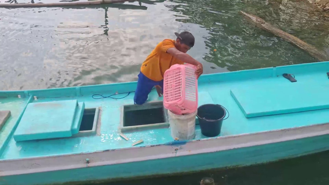 Program Keramba Ikan di Kota Raha Dapat Apresiasi Bupati Muna