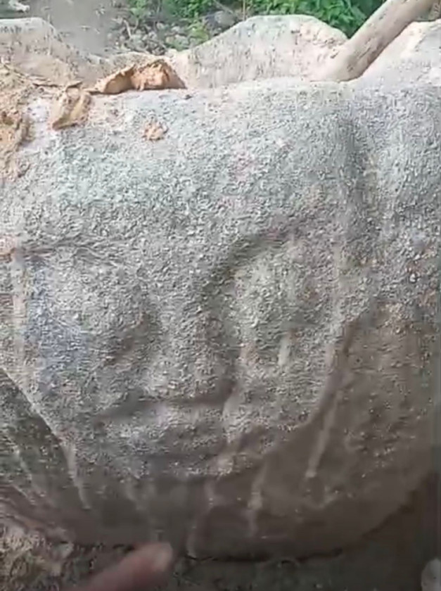 Video Penemuan Batu Megalit di Poso Viral di Media Sosial