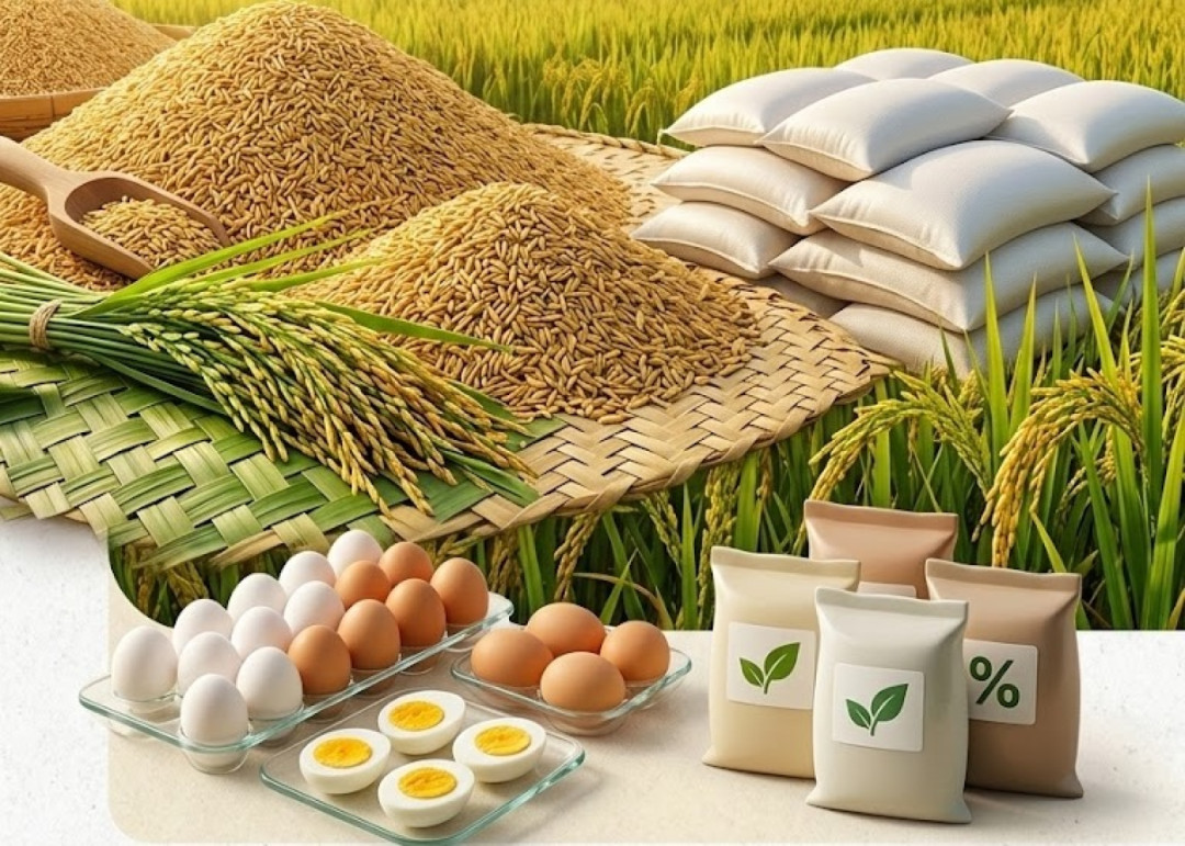 Stok Beras Melimpah Aman untuk Setahun