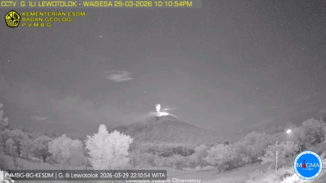 Gunung Ile Lewotolok Kembali Erupsi, Warga Diimbau Jauhi Radius 2 Kilometer