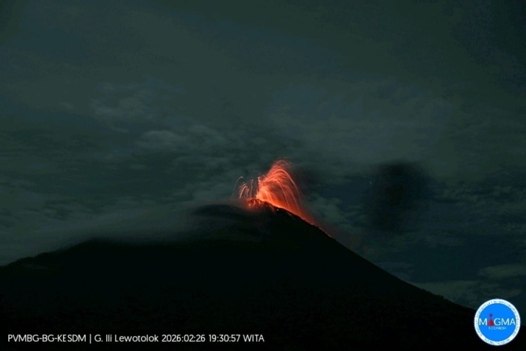 Baru Turun ke Level II, Ile Lewotolok Kembali Meletus