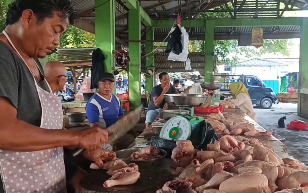 Harga Ayam Potong di Pasar Mentok Naik, Pedagang Keluhkan Sepinya Pembeli
