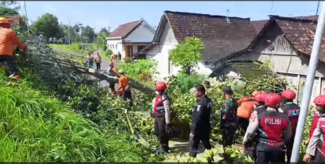 Angin Kencang Rusak 36 Rumah di Tuban, BPBD dan Aparat Lakukan Pemulihan
