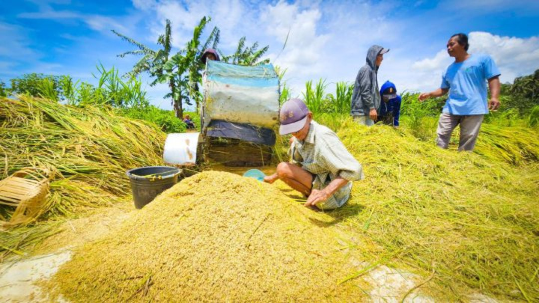 Produksi dan Stok Pangan Nasional Dipastikan Aman di Tengah Dinamika Cuaca