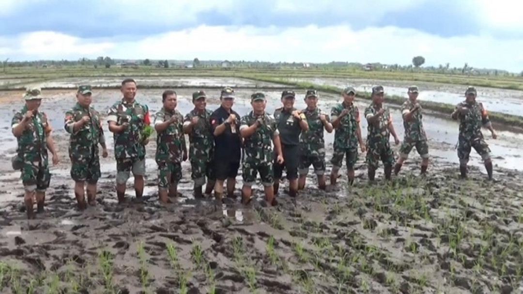 Pemprov Babel Pacu Perluasan Tanam Padi Capai Swasembada Pangan 2025