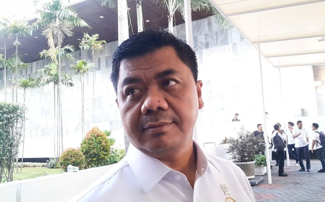Istana Tanggapi Penangkapan Sejumlah Aktivis