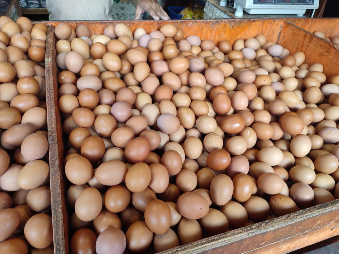 Memasuki Hari ke-14 Ramadan, Harga Telur Merangkak Naik