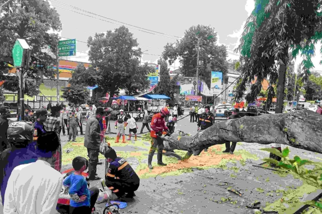 Korban Pohon Tumbang di Pemalang Menjadi 3 Orang