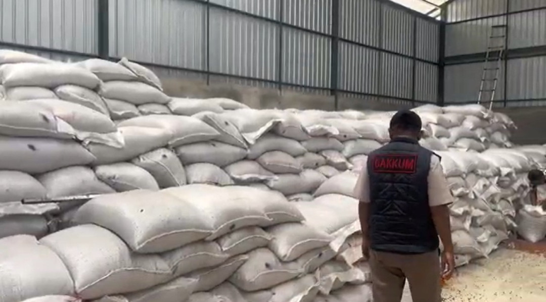 Barantin Tolak 40 Ton Kacang Tanah Impor Tercemar Aflatoksin