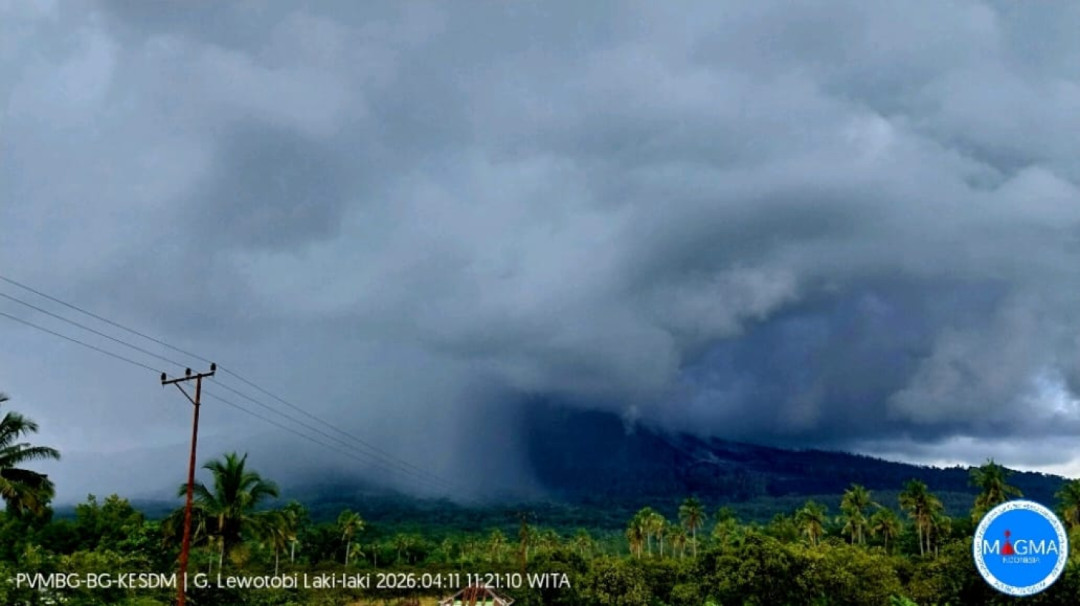 Laporan PVMBG, Gunung Api Aktif di Flores Timur Kembali Erupsi