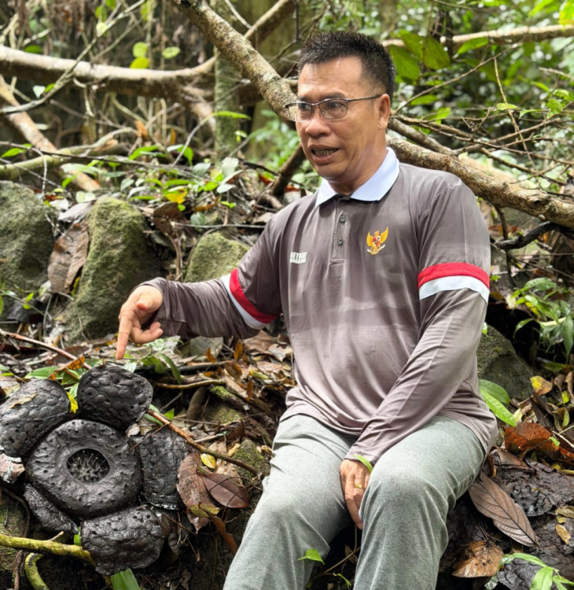Pesona Rafflesia di Gunung Batu Tabir, Bupati Aneng: Potensi Wisata Baru yang Membanggakan