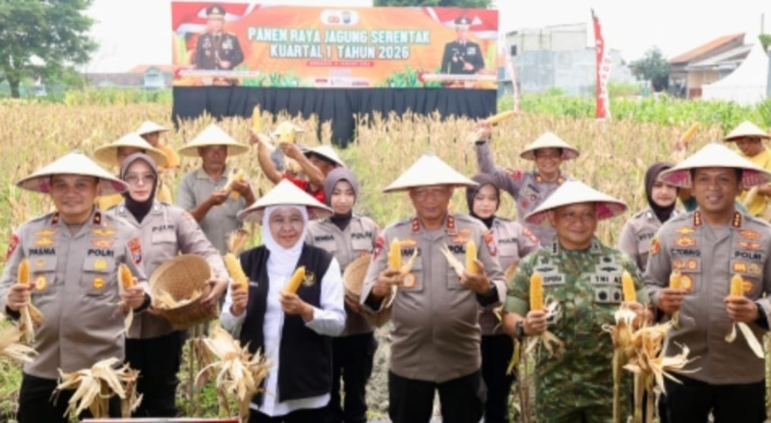 Polda Jatim Gelar Panen Raya Jagung Serentak, Dukung Swasembada Pangan Nasional