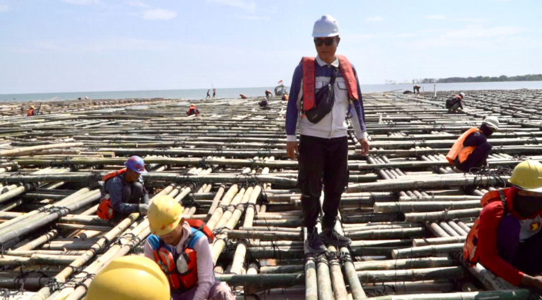 Struktur Jalan Tol Semarang–Demak Gunakan Bambu Lokal, Ramah Lingkungan dan Efisien
