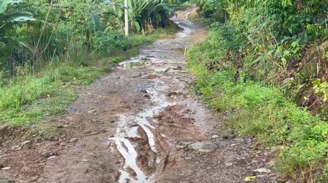 Longsor Putus Akses Jalan dan Rusak Saluran Air Bersih Warga di Merangin
