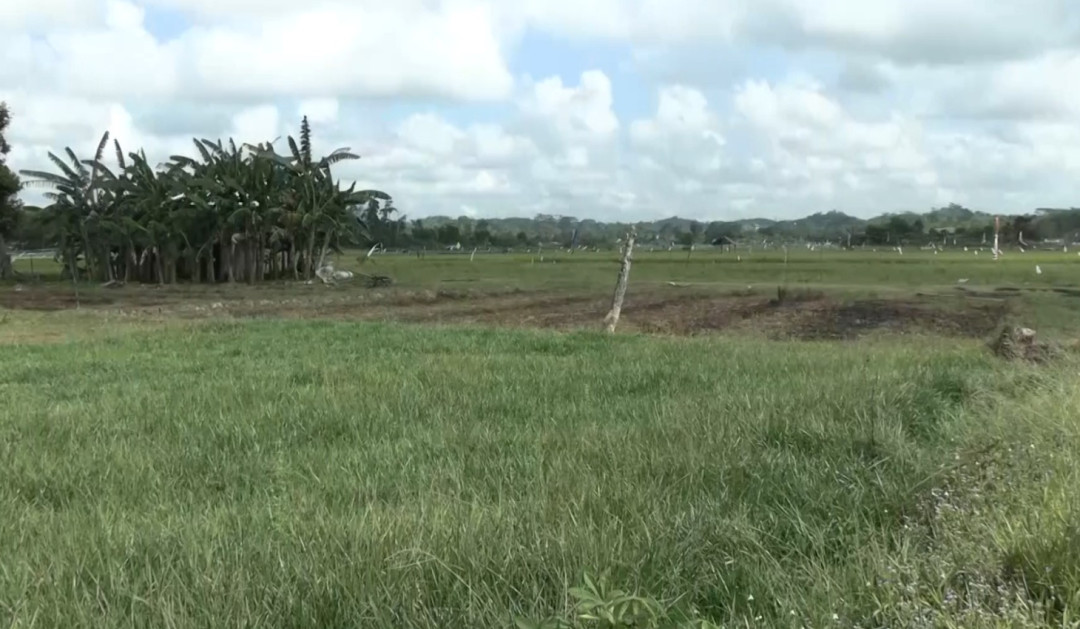 Petani Sekitar IKN Butuh Irigasi yang Andal