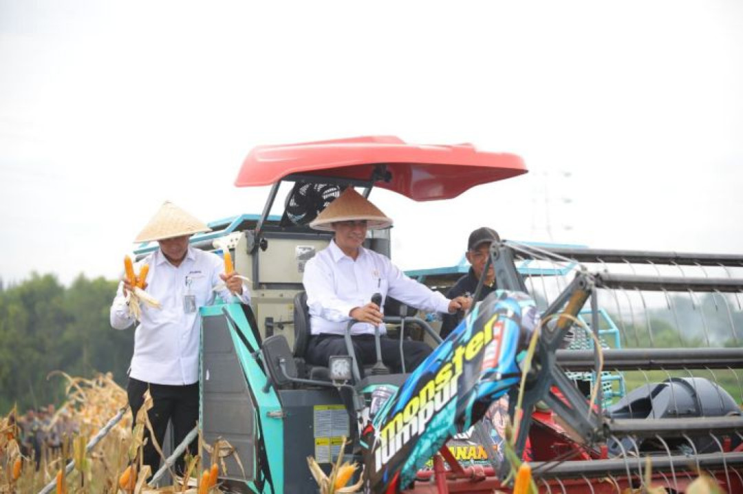 Mentan Amran: Swasembada Jagung Jadi Kunci Tekan Kemiskinan