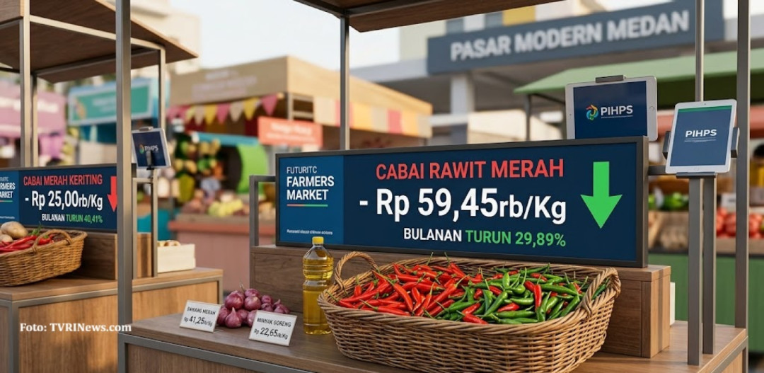 Harga Cabai Rawit Merah Hari Ini Naik