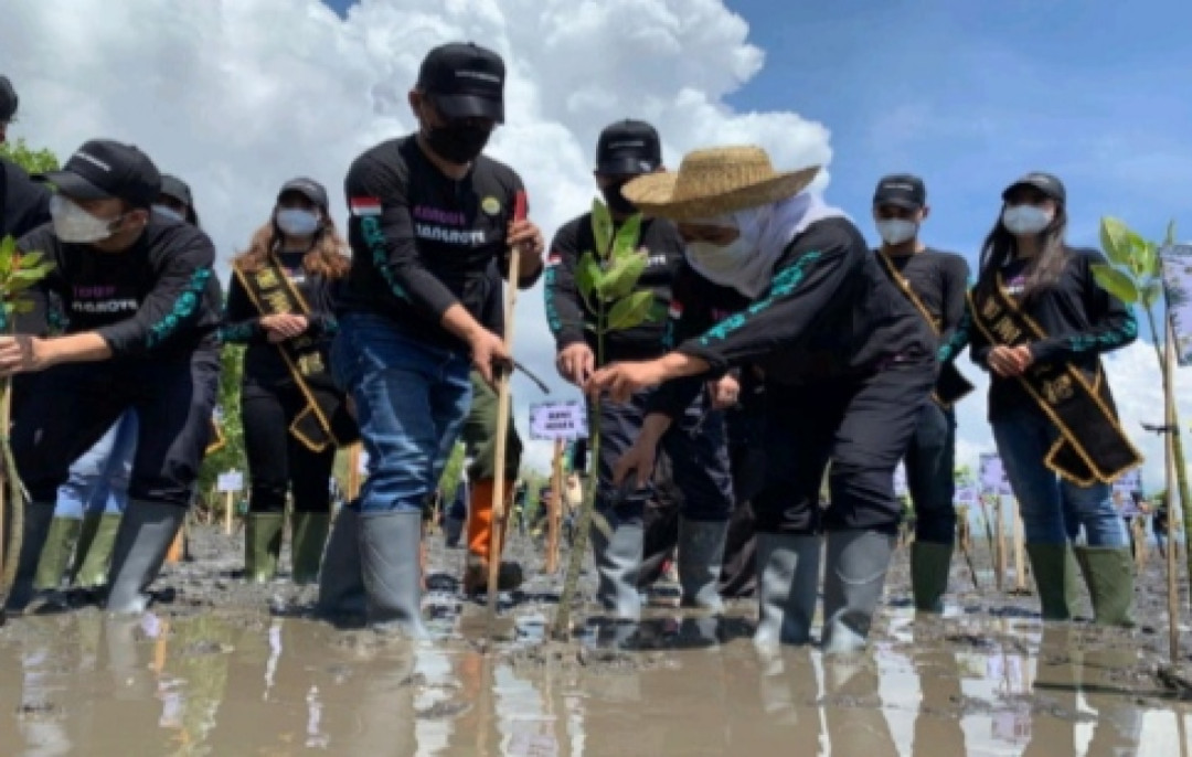 Konservasi Jangka Panjang Ekosistem Laut Jawa Timur
