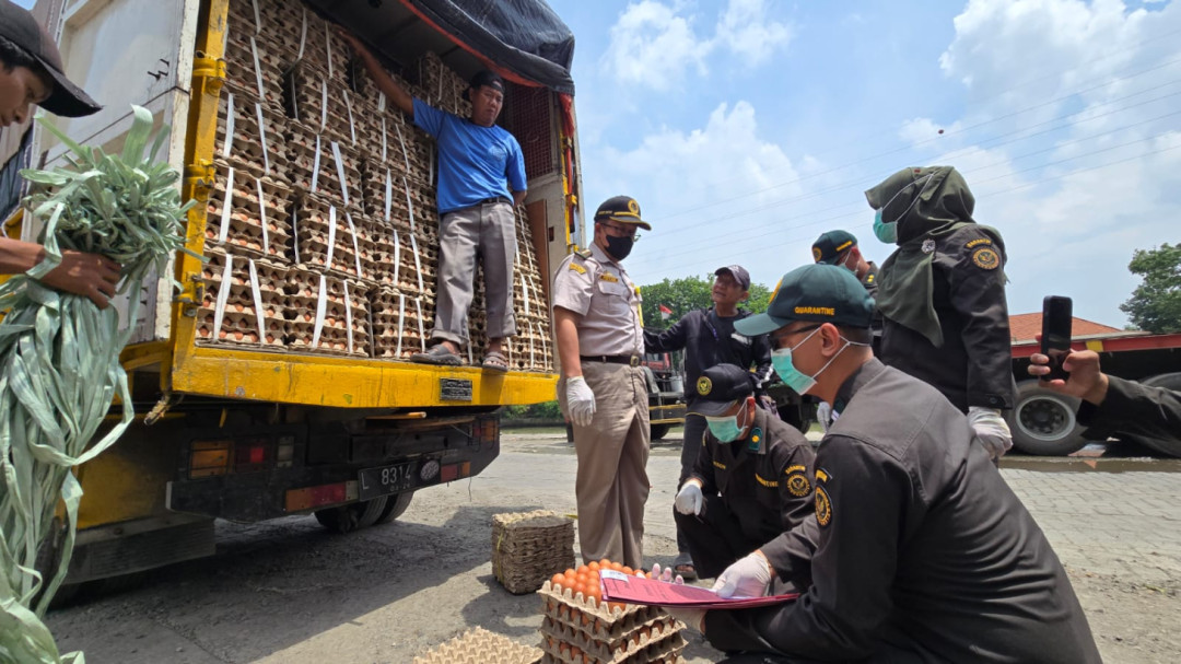 Kesiapsiagaan Karantina Jawa Timur Hadapi Lonjakan Arus Pangan