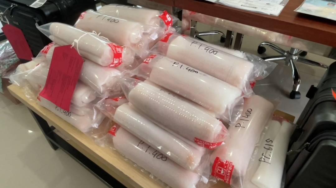 Petugas Gabungan Bandara YIA Gagalkan Penyelendupan Benih Lobster Senilai Rp1,3 M