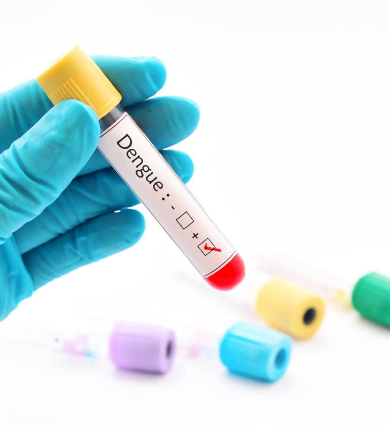 Fenomena El Nino, Kemenkes: Waspada Nyamuk Dengue Picu Demam Berdarah