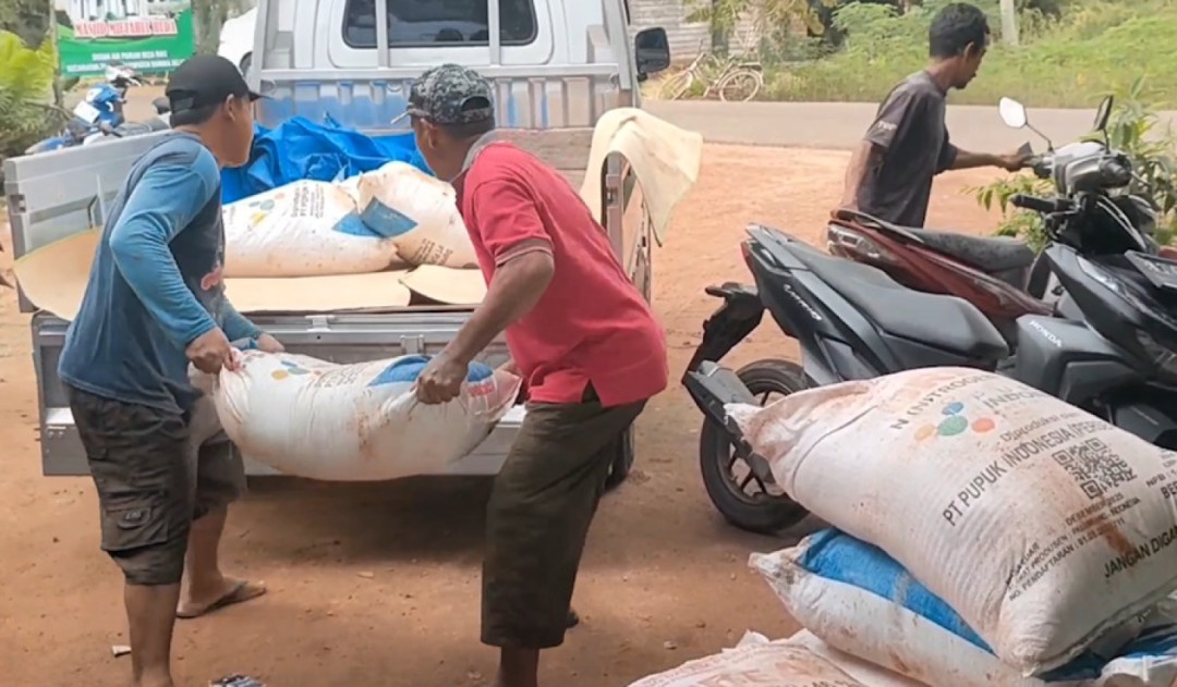 Pemkab Bangka Selatan Optimalkan Ketersediaan Ribuan Ton Pupuk Subsidi bagi Petani