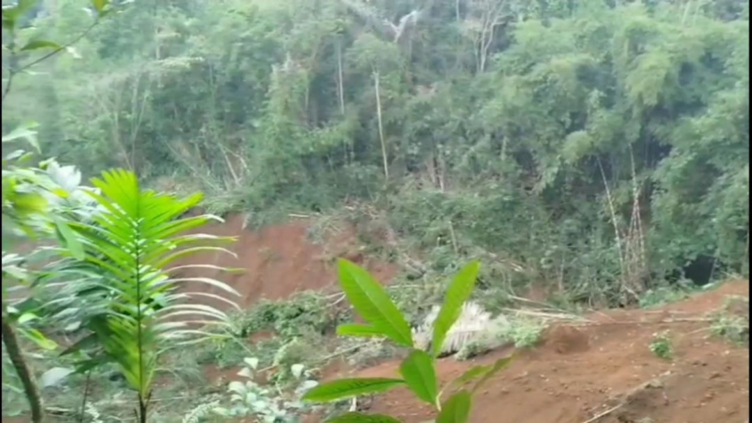 Dua Petani Tewas Tertimbun Longsor di Tasikmalaya, Evakuasi Terkendala Medan Labil