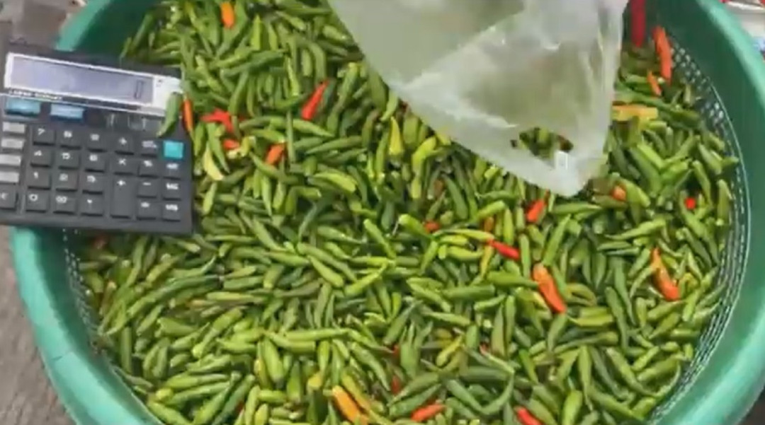 Harga Cabai Rawit Merah di Pasar Talang Banjar Capai Rp90 Ribu per Kg