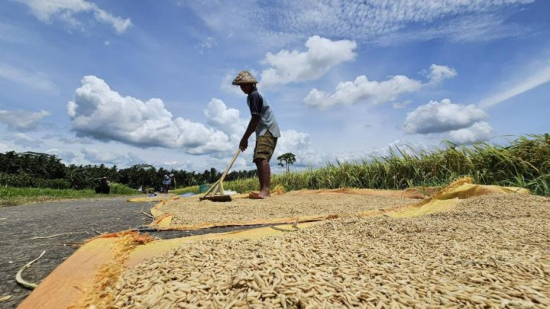 WFP: 45 Juta Orang Terancam Kelaparan, Indonesia Surplus Beras