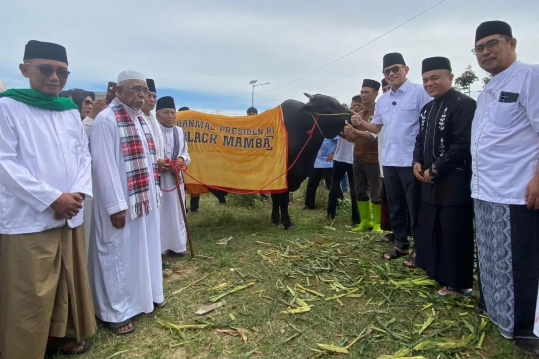 Menteri P2MI Serahkan Sapi Kurban Presiden Prabowo tuk Warga Huntap Petobo