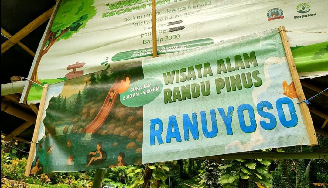 Segarnya Sumber Mata Air Randu Pinus, Destinasi Wisata Alam Favorit di Kaki Gunung Lemongan