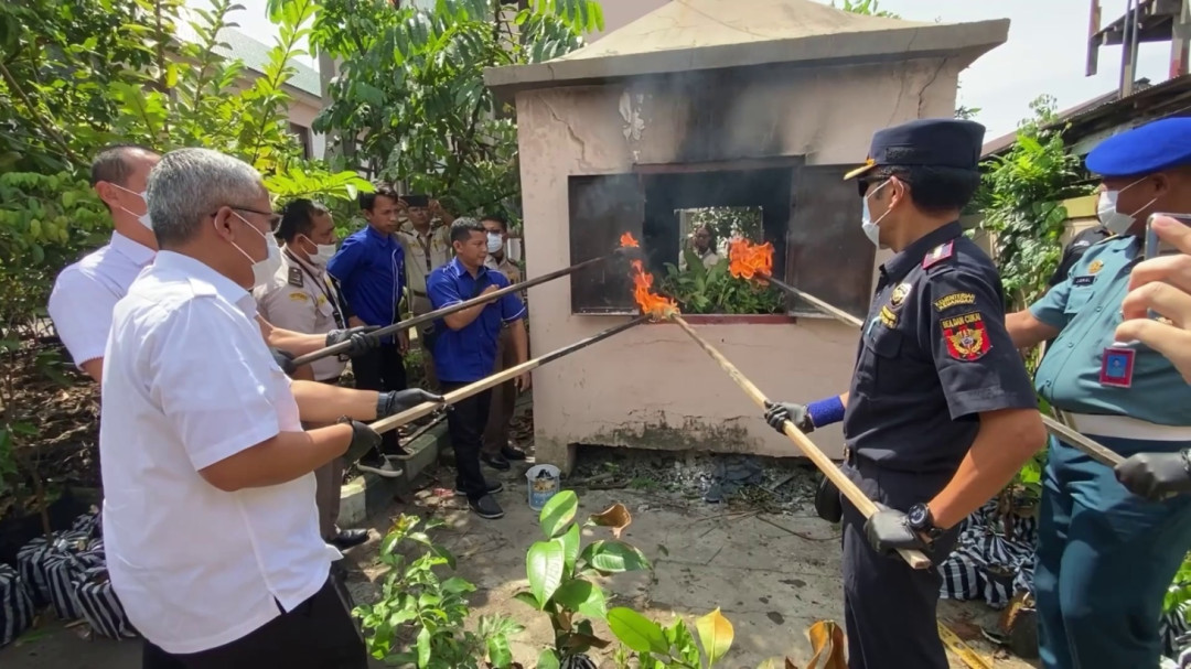 Karantina Kalsel Musnahkan Ratusan Bibit Tanaman Ilegal