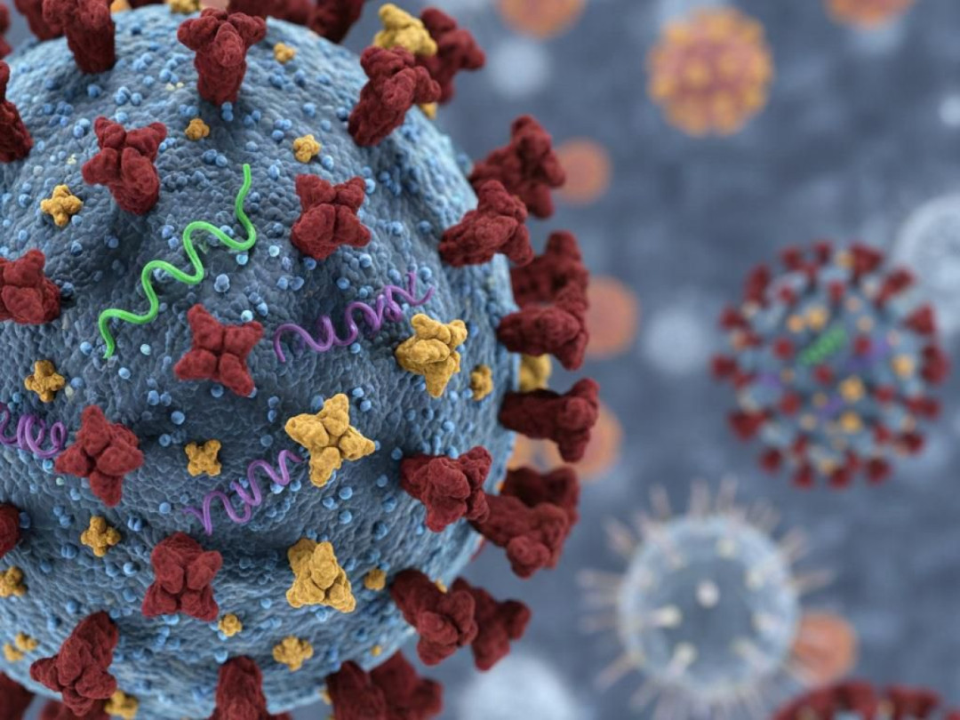 Kemenkes: Influenza H3N2 Subclade K Masih Terkendali