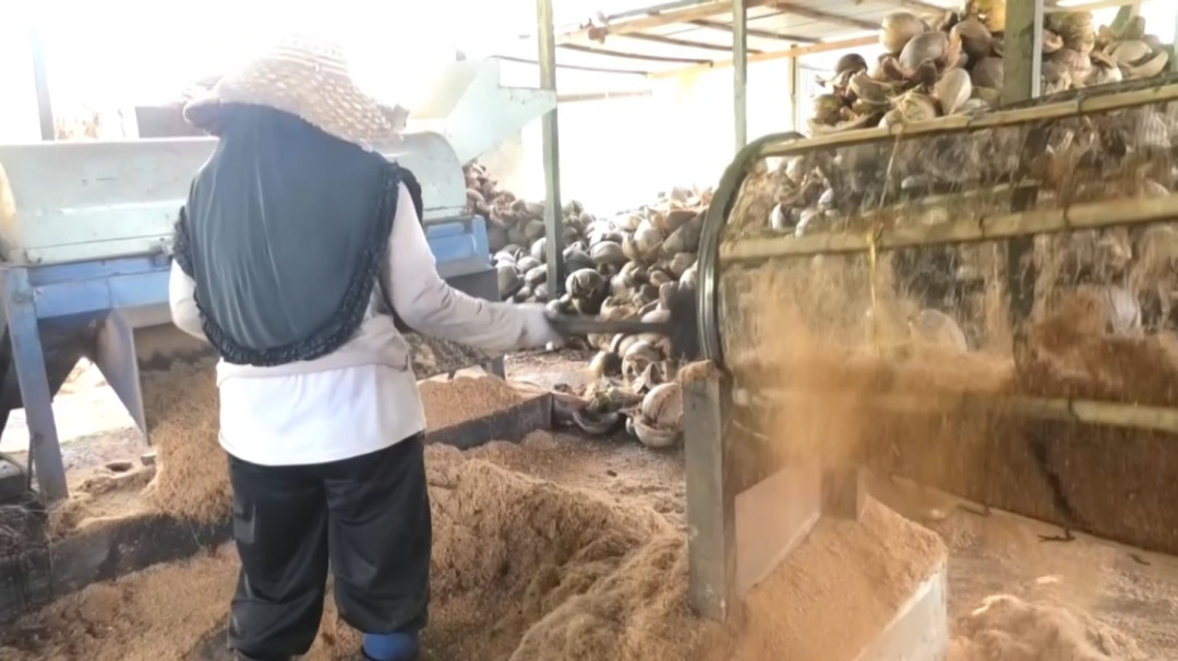 Kreativitas Koperasi Kriya Inovasi Mandara dalam Mengubah Limbah Sabut Kelapa