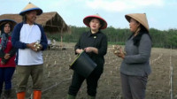 Ketua DPR RI Bantu Petani Permudah Dapatkan Pupuk Subsidi 