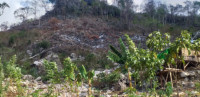 Kelompok Pemuda Minta Pemerintah Tindak Pelaku Perambahan Kawasan Hutan Bowosie 