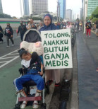 Pimpinan Komisi IX DPR RI: Sudah Saatnya Indonesia Kaji Tanaman Ganja untuk Medis!