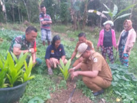 Babinsa TNI Buka Lahan Pertanian di Sitolu Ori, Nias Utara