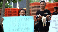 Harga Ayam Melambung, Broker Protes