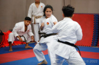 Persiapan SEA Games 2021 Hanoi, Forki akan Undang Karateka Asing untuk Sparring Partner