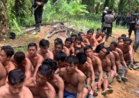 40 Pencuri Sawit Jadi Tersangka, Gubernur Bengkulu: Masyarakat Jangan Terpancing Provokasi