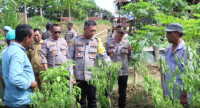Polres Aceh Tamiang Lakukan Penilaian 116 Bhabinkamtibmas Program Ketahanan Pangan