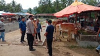 Antisipasi Virus PMK, Pasar Ternak Terbesar di Solok Ditutup